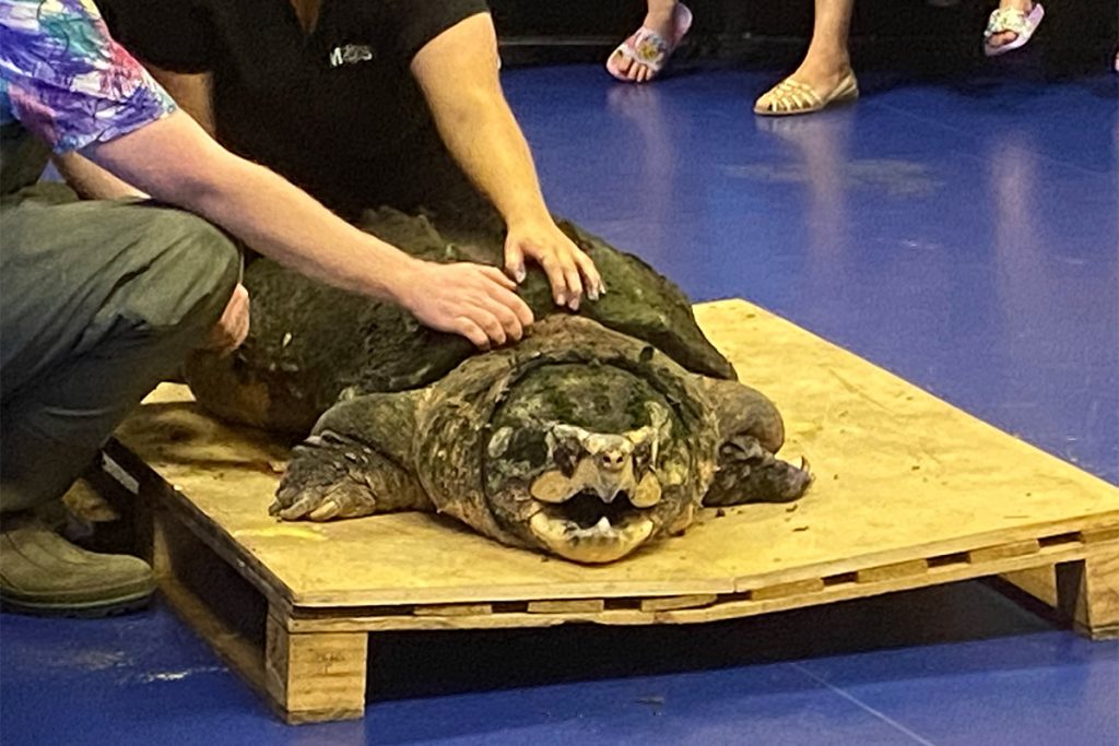 Tonca Gets A Checkup