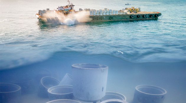 Artificial reefs making way to local coastlines
