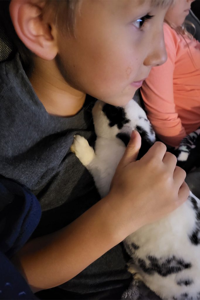 Ian, 6 & adoptable rex Domino.