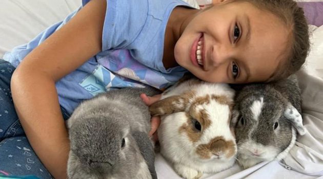Animal House: New Nonprofits Work to Rescue, Educate & Advocate for Domestic Rabbits