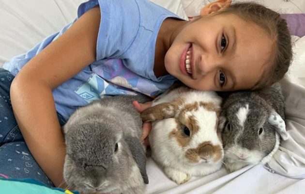 Animal House: New Nonprofits Work to Rescue, Educate & Advocate for Domestic Rabbits