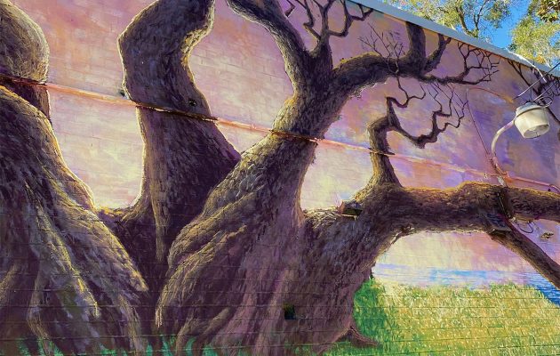 Public art with a purpose comes to Historic Avondale
