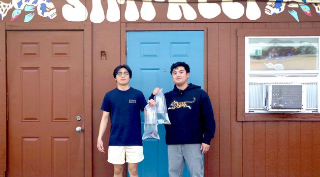Animal House: The serenity of the fishbowl: A deep dive on tropical fish-keeping