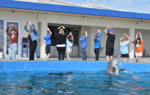 Flipper Friends: Assumption Catholic dives into dolphin experience Flipper Friends: Assumption Catholic dives into dolphin experience