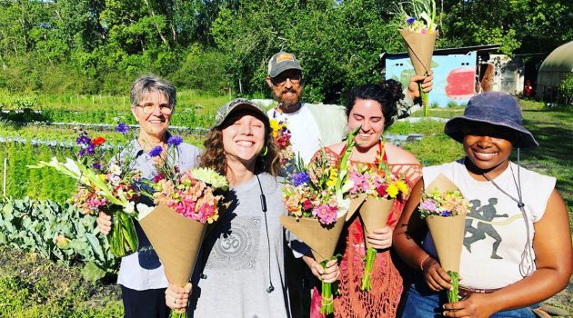 Loyal to Local: Down to Earth Farm