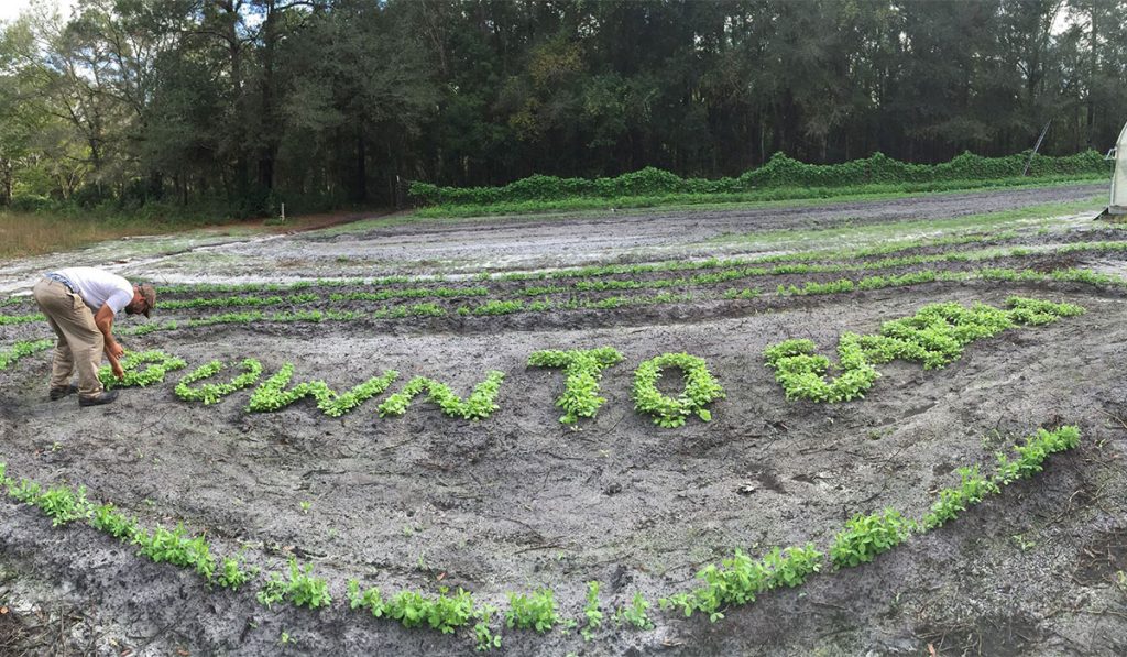 Down to Earth in the earth | Picture Credit - Down to Earth Farm Facebook