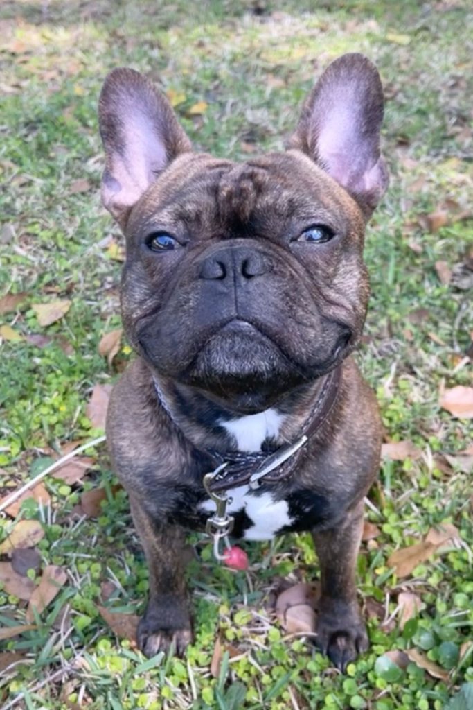 Chubbs, whose person is Emily Johnson.