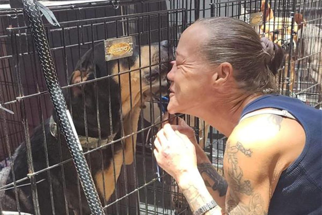 An owner reunited with her lost pet at Mega Pet Adoption.