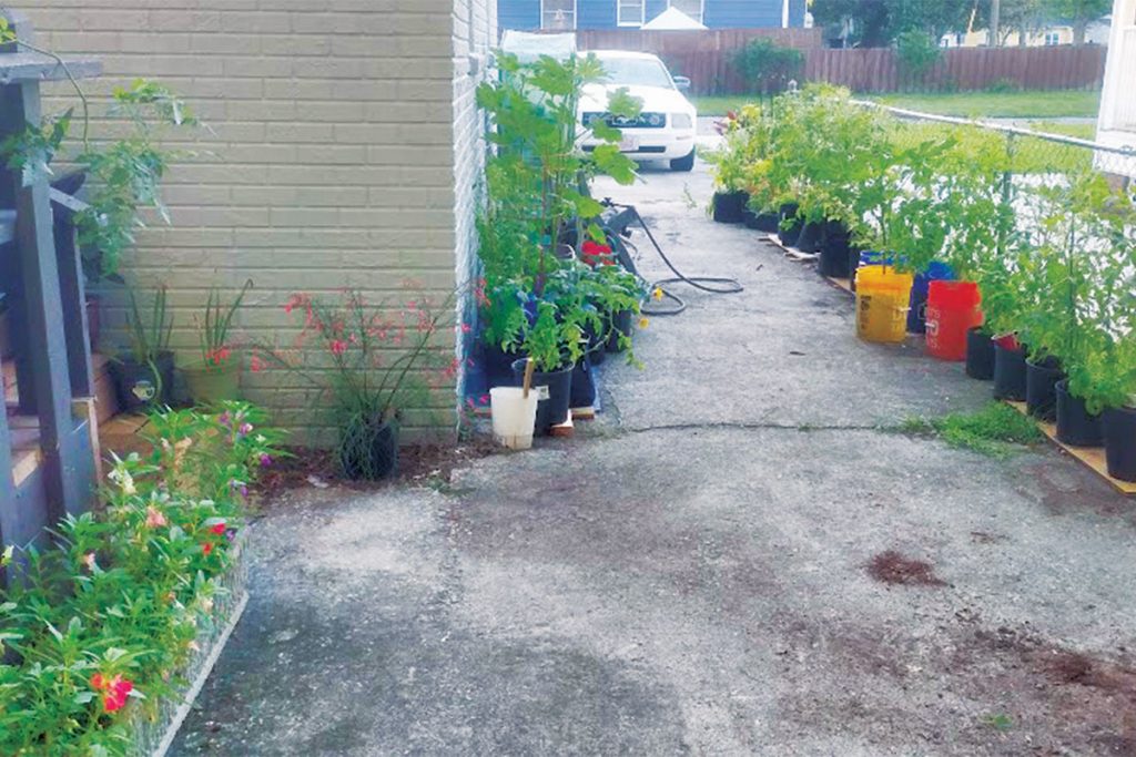 Noah Ray’s Bucket Garden