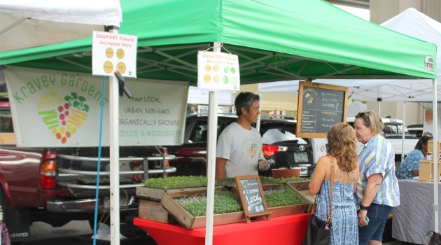 Loyal to Local: Kravey Gardens