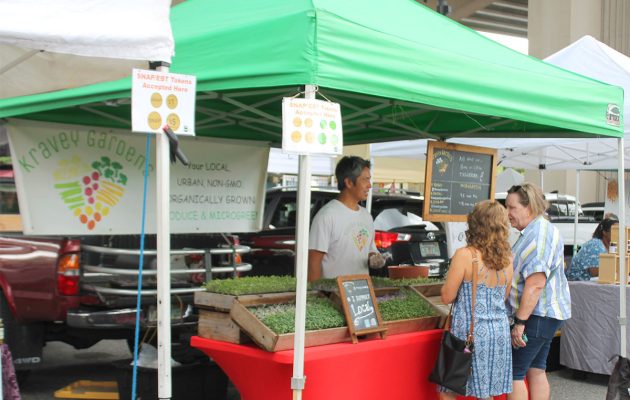 Loyal to Local: Kravey Gardens