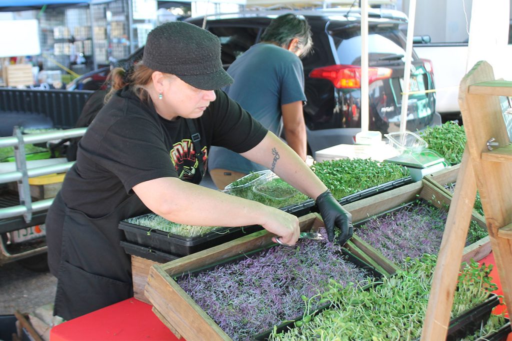 Krystal Misola tending to vegetables