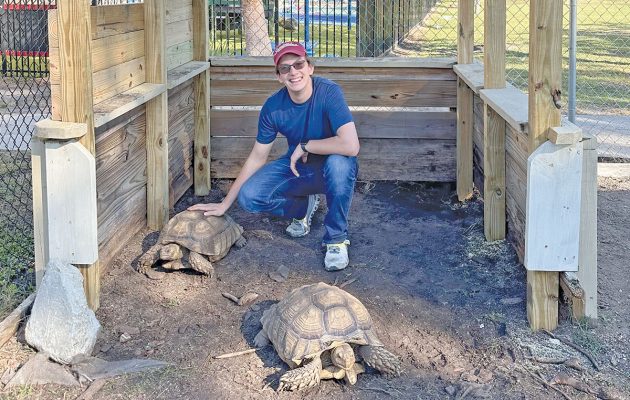 Eagle Scout Project Houses Tortoises