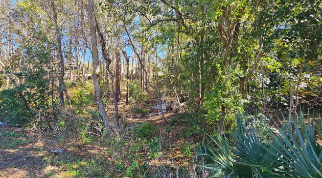 Historic Cemetery Raises Grave Concerns for Rezoning