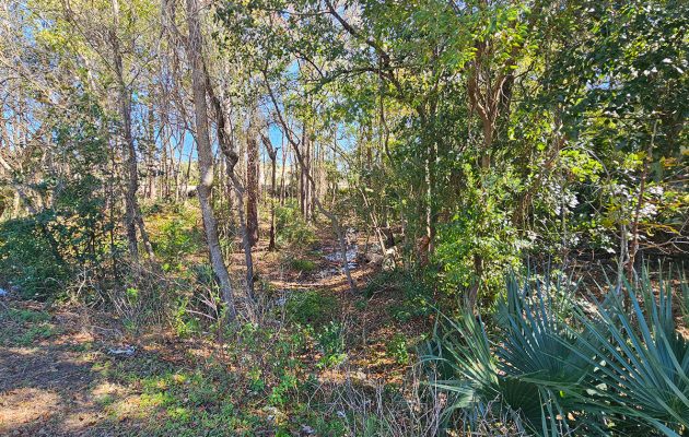 Historic Cemetery Raises Grave Concerns for Rezoning