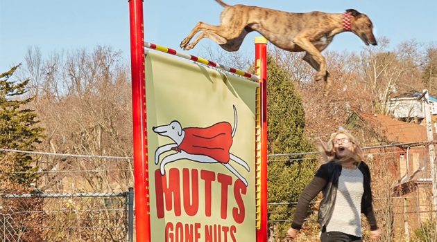 Animal House: FEATHER: A Second-Chance Champion
