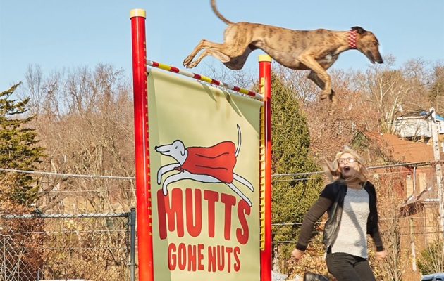 Animal House: FEATHER: A Second-Chance Champion