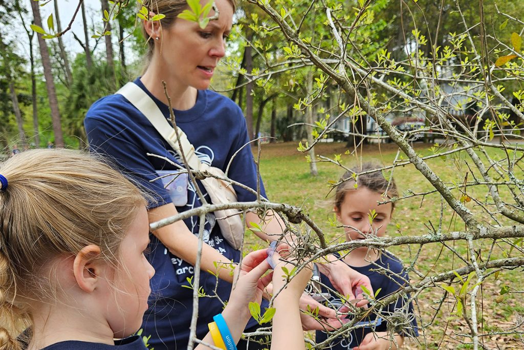 Heidi Loughman, Alison Loughman and Maddie Webb tie their remembrance ribbons on Finley’s tree in Boone Park.
