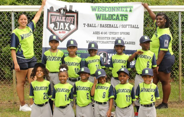 Charity, Pros Uplift Youth Baseball