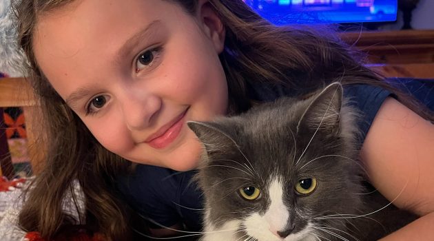Animal House: Orphan kitten fosters save most at-risk shelter pets