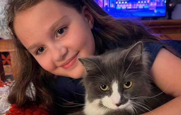 Animal House: Orphan kitten fosters save most at-risk shelter pets