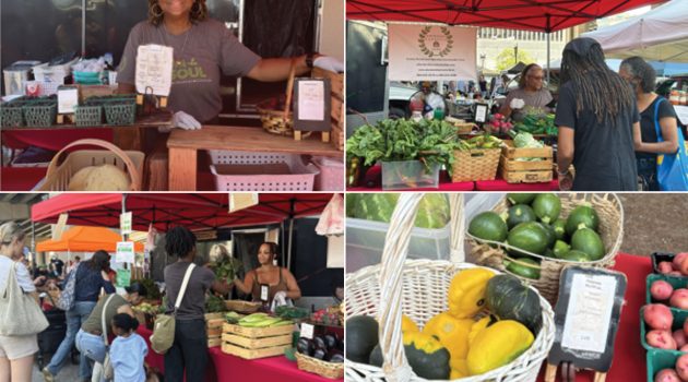 Loyal to Local: Abundant Harvests Farm