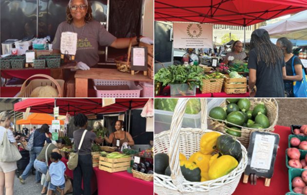 Loyal to Local: Abundant Harvests Farm