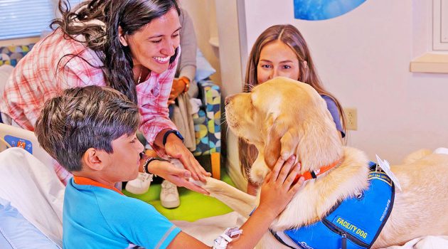 Animal House: Hey, Jude: Wolfson’s four-legged staffer celebrates 3rd birthday