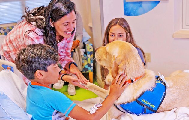 Animal House: Hey, Jude: Wolfson’s four-legged staffer celebrates 3rd birthday
