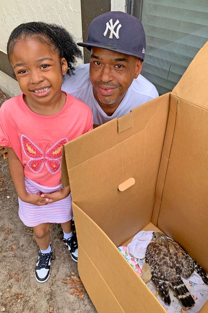 Brian and Brielle Thompson found the injured hawk.