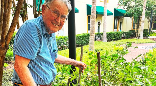 The Way We Were: Dr. Joseph Stokes